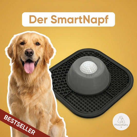 SmartNapf - beruhigender Schlecknapf für Hunde